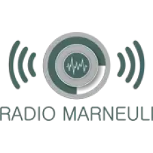Marneuli FM logo