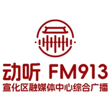 动听913（宣化区融媒体中心综合广播） logo