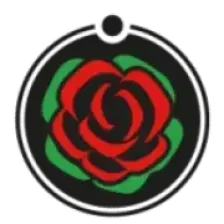 Radio Punto Zero Tre Venezie logo