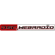 D S C logo