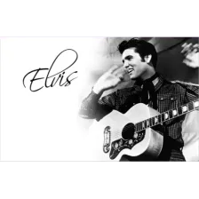Elvis And Company logo