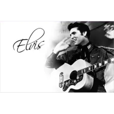 Elvis And Company logo