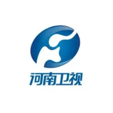 河南卫视伴音 logo