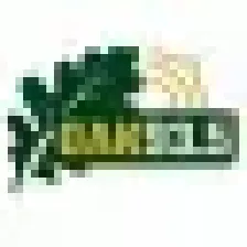 Oak 93.5 | WRLY-LP logo