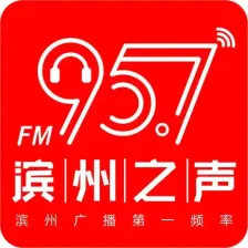 滨州综合广播 logo