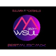 WSUL logo