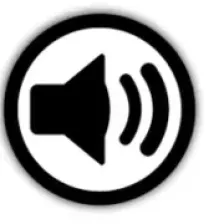 Radio Platinum Fm logo