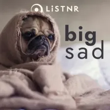 LiSTNR - big sad (HLS) logo