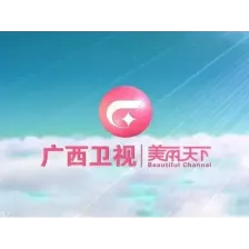 广西卫视伴音 logo