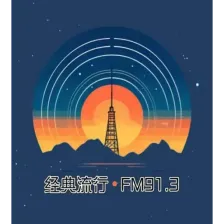 唐县经典913 logo