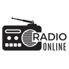 沈阳新民广播FM103.9 logo