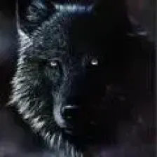 Dark Bites logo