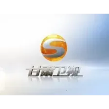 甘肃卫视伴音 logo