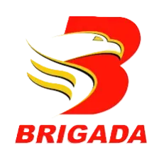 Brigada News FM Daet logo