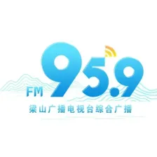 梁山广播电视台综合广播 logo