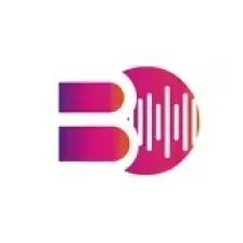 Boss Online Radio logo