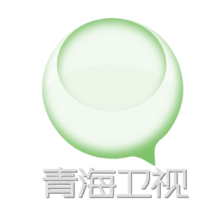 青海卫视伴音 logo