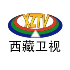 西藏卫视伴音 logo