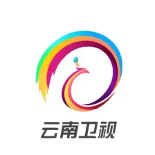 云南卫视伴音 logo