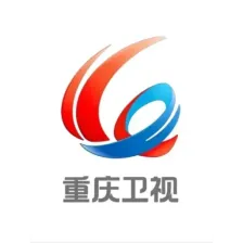 重庆卫视伴音 logo