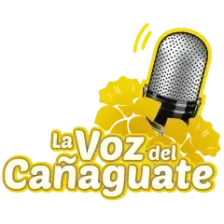 La Voz Del Cañaguate 860 AM logo