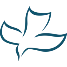 CSN International logo