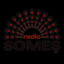 Someș Radio -Bistrițai 96.6 FM logo