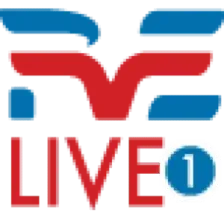 RVE Timisoara logo
