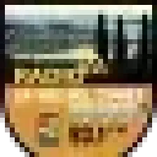 La Voz del Cipres de las Guaitecas logo