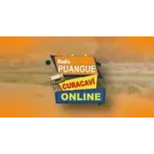 Radio puangue logo