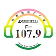 黔西南综合广播 logo