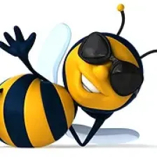 KWJB - THE BEE - 95.1 logo
