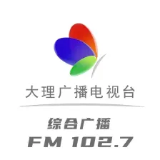 大理综合广播 logo