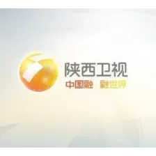 陕西卫视伴音 logo