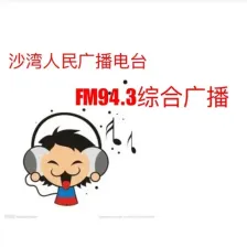动感调频FM94.3 沙湾人民广播电台综合广播 logo