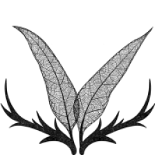 Phaune Radio • Fauve qui peut logo