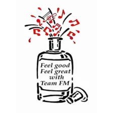 Team-FM logo