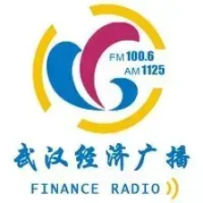 武汉经济广播 logo