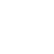 Paranoise logo