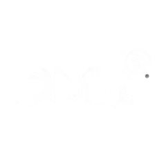 DEUTSCHES MUSIK RADIO logo
