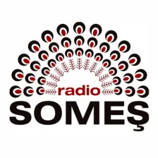 Someș Radio -Bistrițai 96.6 FM logo