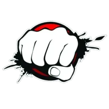 Piratenpower logo