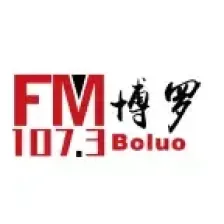 博罗综合广播 logo