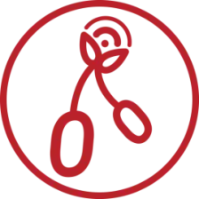 La radio sous la cerise logo