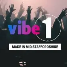 Vibe 1 logo