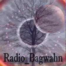 Radio Bagwahn logo