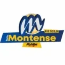 Rádio Montense Flash Minas 102.9 FM logo