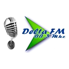 Delta FM 88.3 logo
