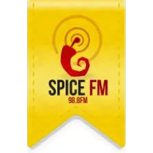 spicefmuk logo