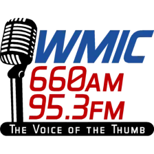 WMIC logo